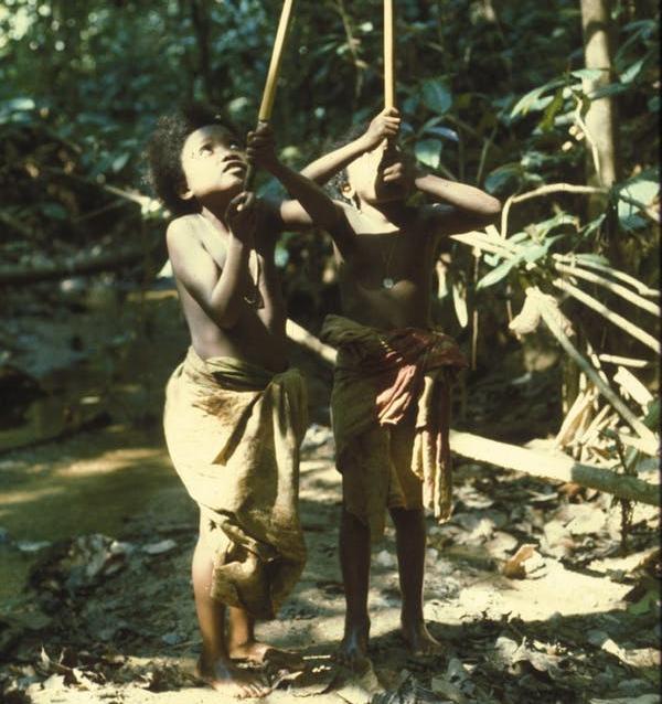 Girls from the hunting and gathering Batek tribe playing with blowpipes. 
