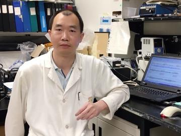 Dr. Mingke Ni, PhD, a member of the Chen lab, was instrumental in solving the mystery behind this fatal heart flaw. 