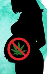 Marijuana use in pregnancy is linked to preterm birth and small for gestational age infants.