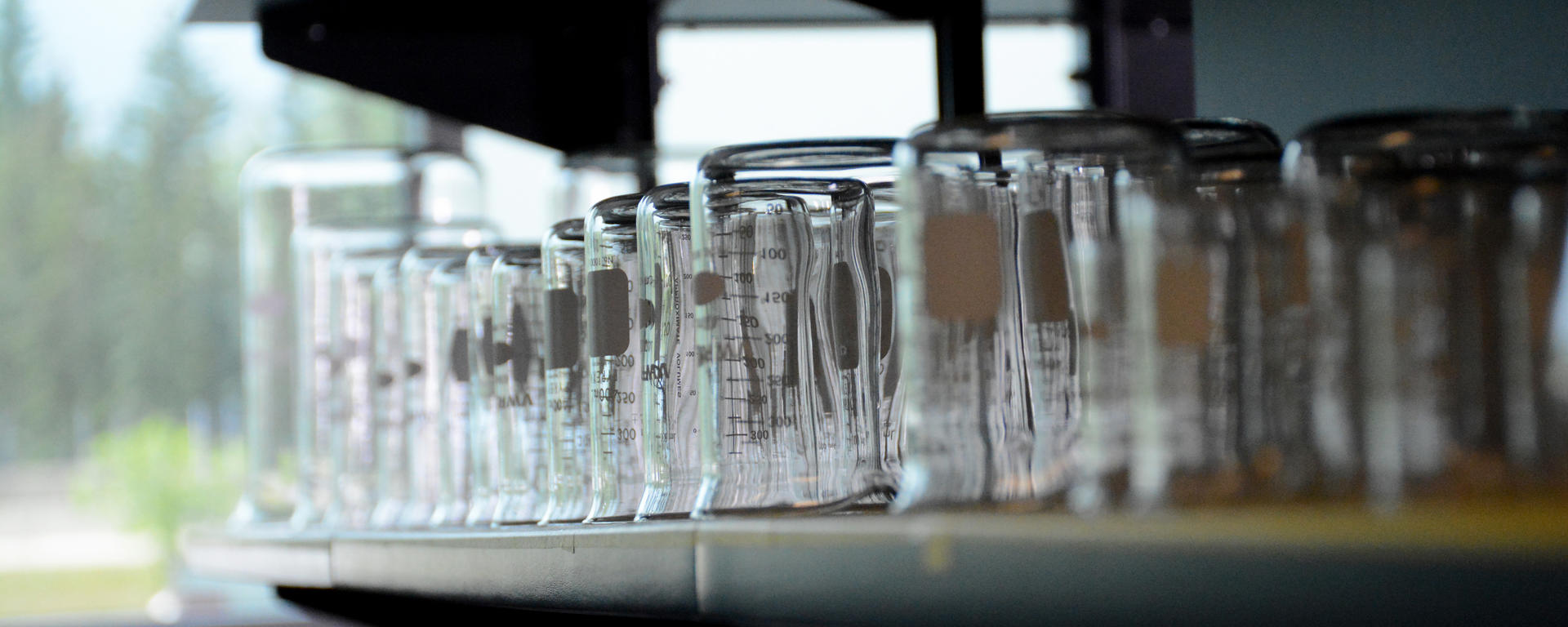 Beakers in a lab