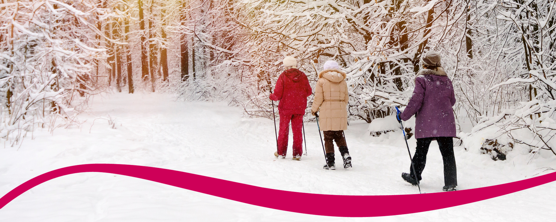 three people snowshoeing in a forest during winter