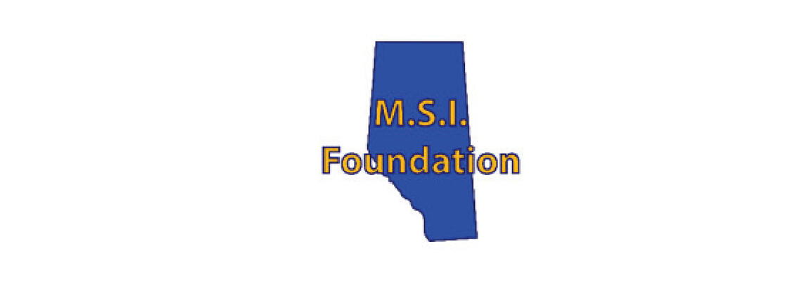 M.S.I. Foundation