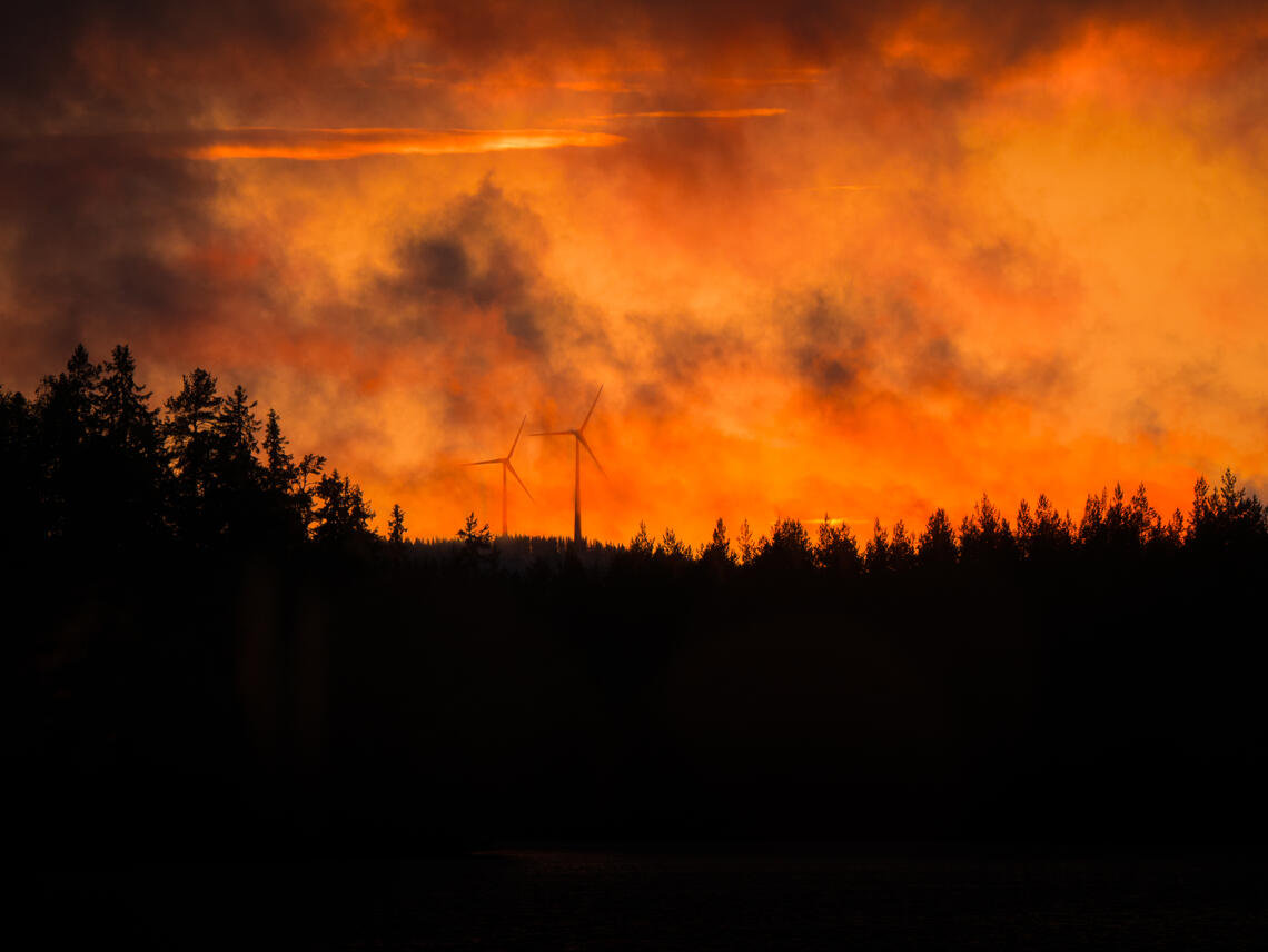 A wildfire burns at night, lighting the sky orange