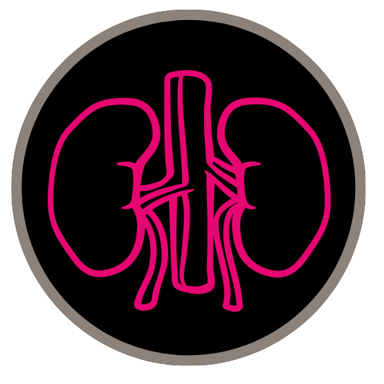 icon of the kidneys