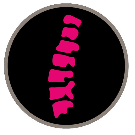 icon of a spine