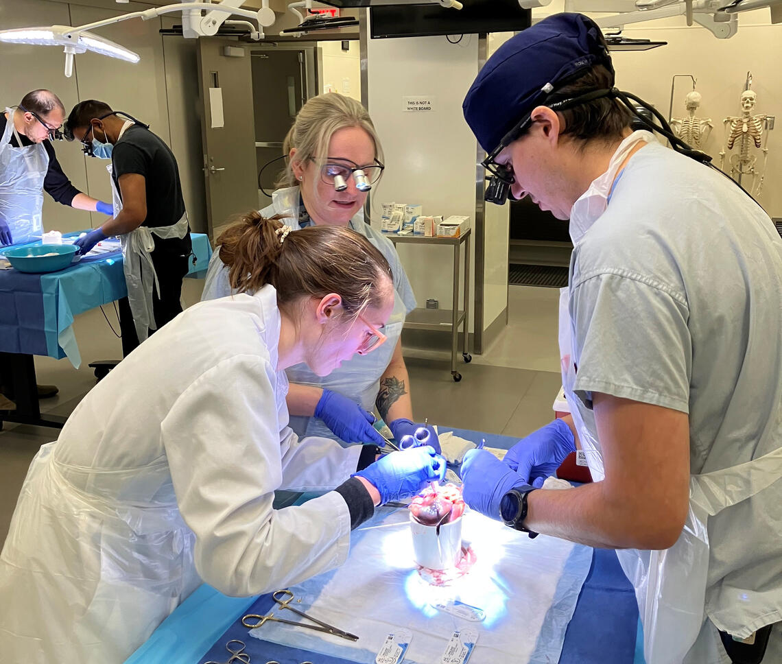 Cardiac Surgery Wetlab Training V2