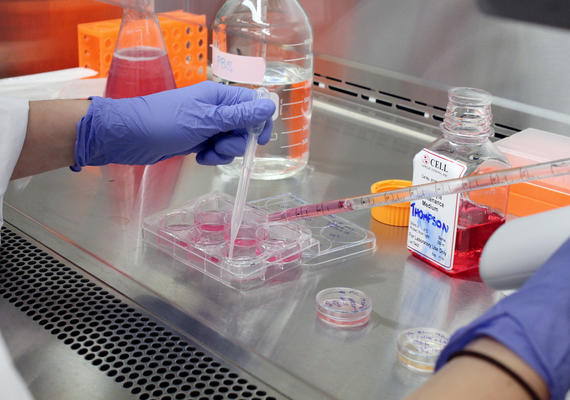 Research Lab