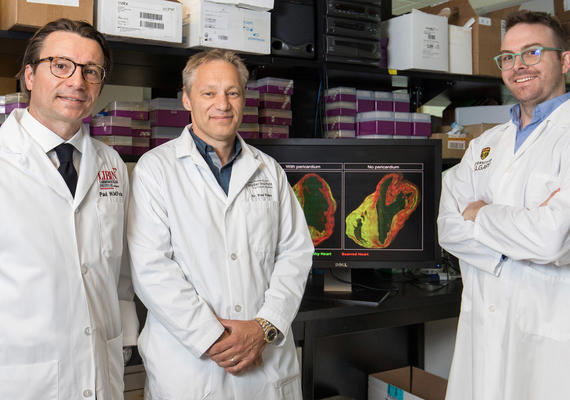 researchers pose