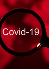 covid 19