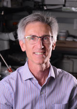 Dr. Andy Braun, PhD