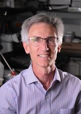 Dr. Andrew Braun is a basic scientist in the Department of Physiology & Pharmacology at the University of Calgary
