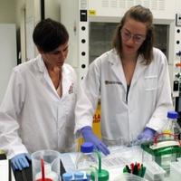 researcher training a student